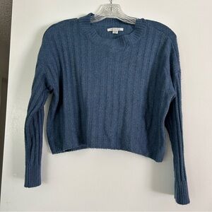 American eagle cropped sweater
